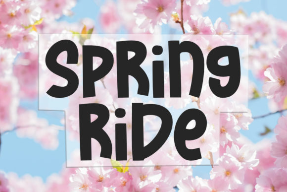 Spring Ride: The Playful Display Font for Crafters