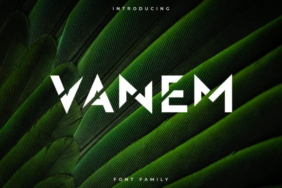 Vanem Font Review: A Bold, Futuristic Display Typeface